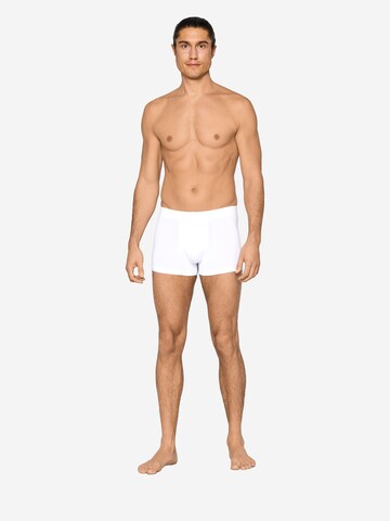 Boxers ' Intimate Apparel ' JOOP! en blanc