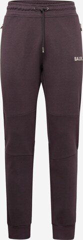 BALR. - Tapered Pantalón en gris: frente