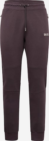 BALR. Tapered Broek in Grijs: voorkant