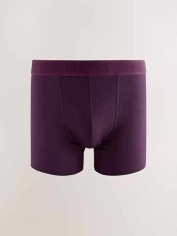 Next Trunks in Mischfarben