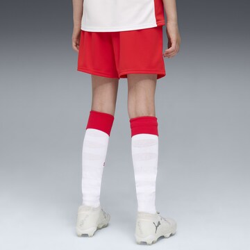 Regular Pantalon de sport 'FC Red Bull Salzburg 25/26' PUMA en rouge
