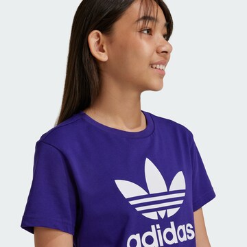 T-Shirt 'Trefoil' ADIDAS ORIGINALS en violet