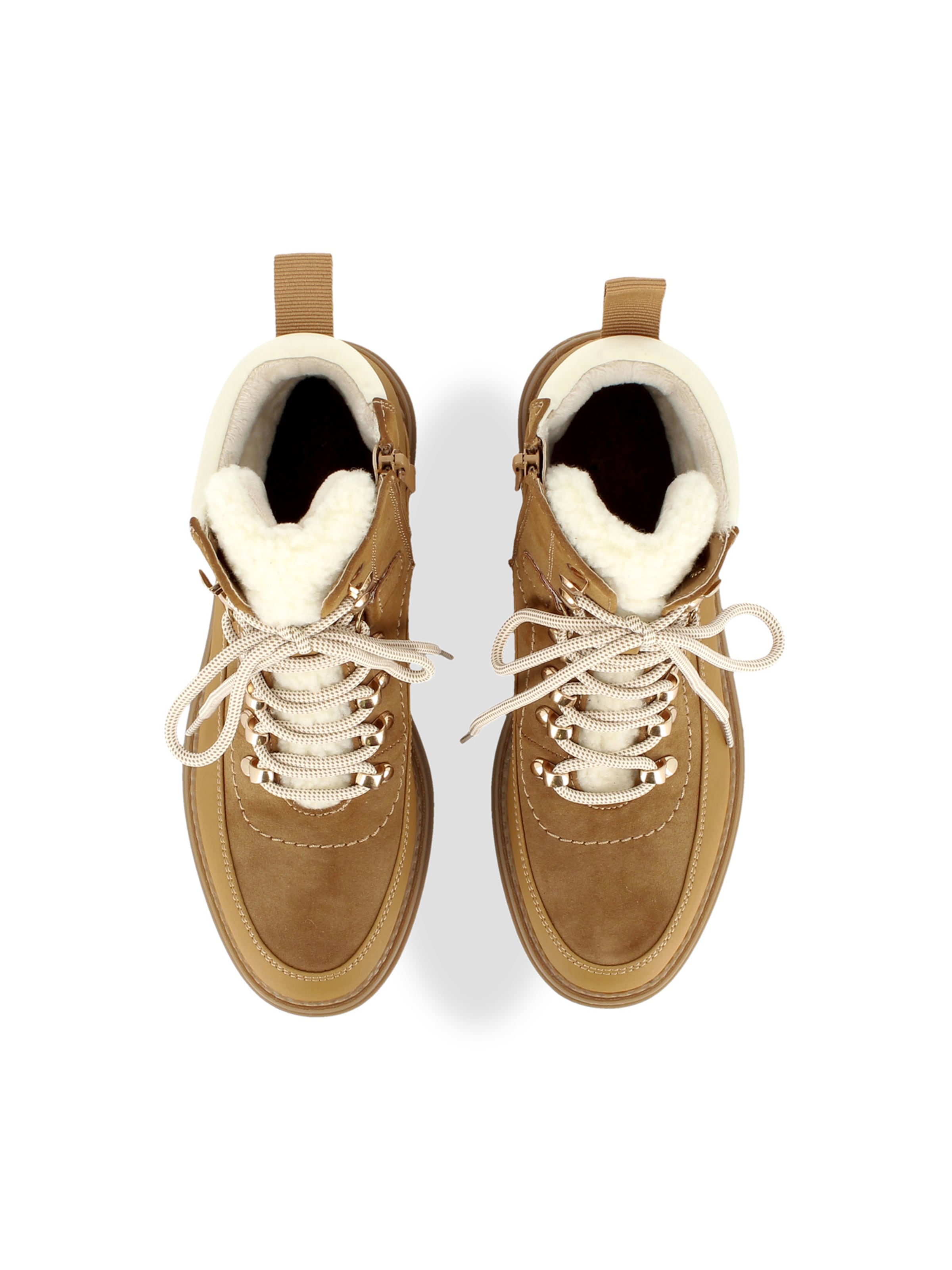 US POLO ASSN. - Botines con cordones en marrón
