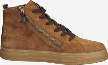 HASSIA High-Top Sneakers in Brown