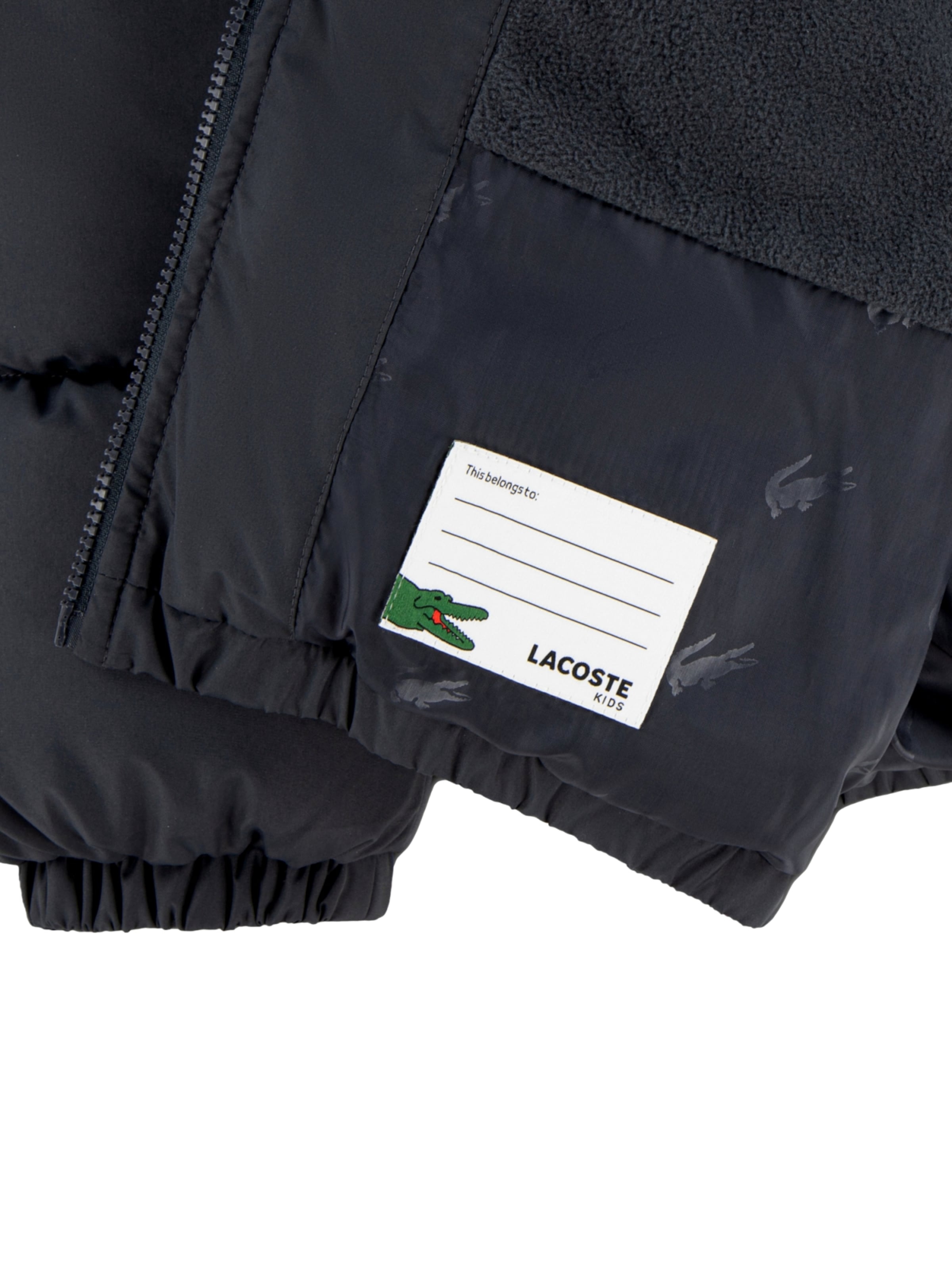 Giacca invernale di LACOSTE in grigio