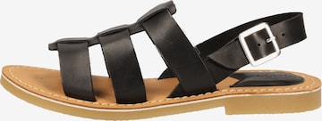 Kickers Sandalen in Schwarz