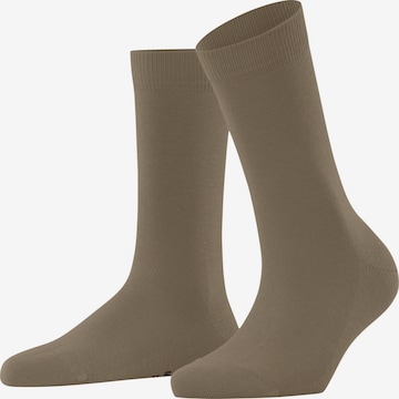 FALKE Socks 'Family' in Beige: front