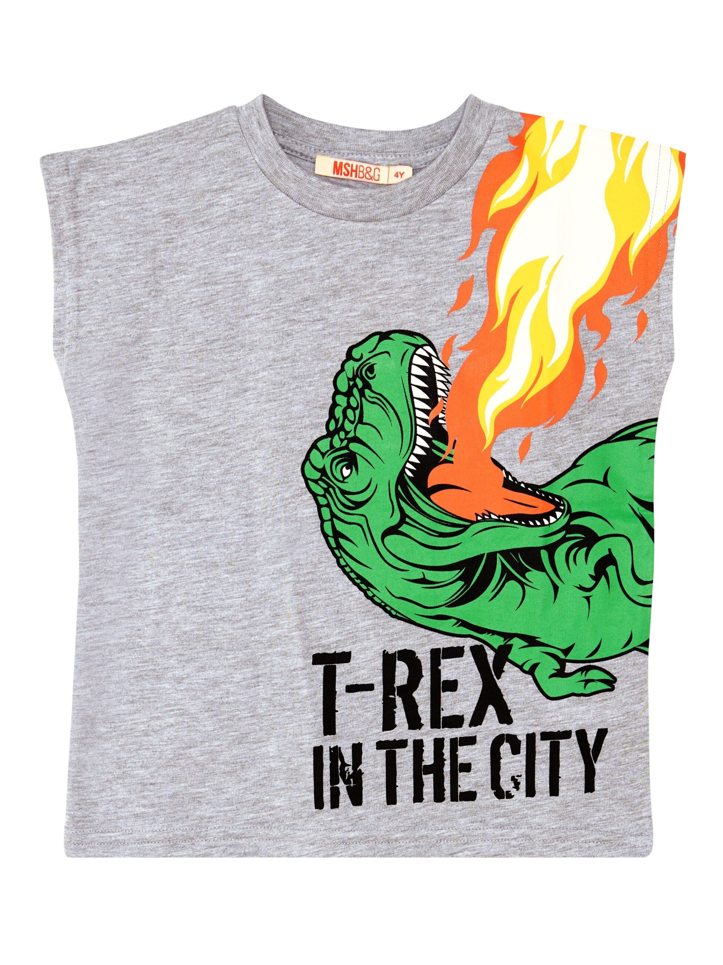 Survêtement 'T-Rex Flame' Denokids en gris
