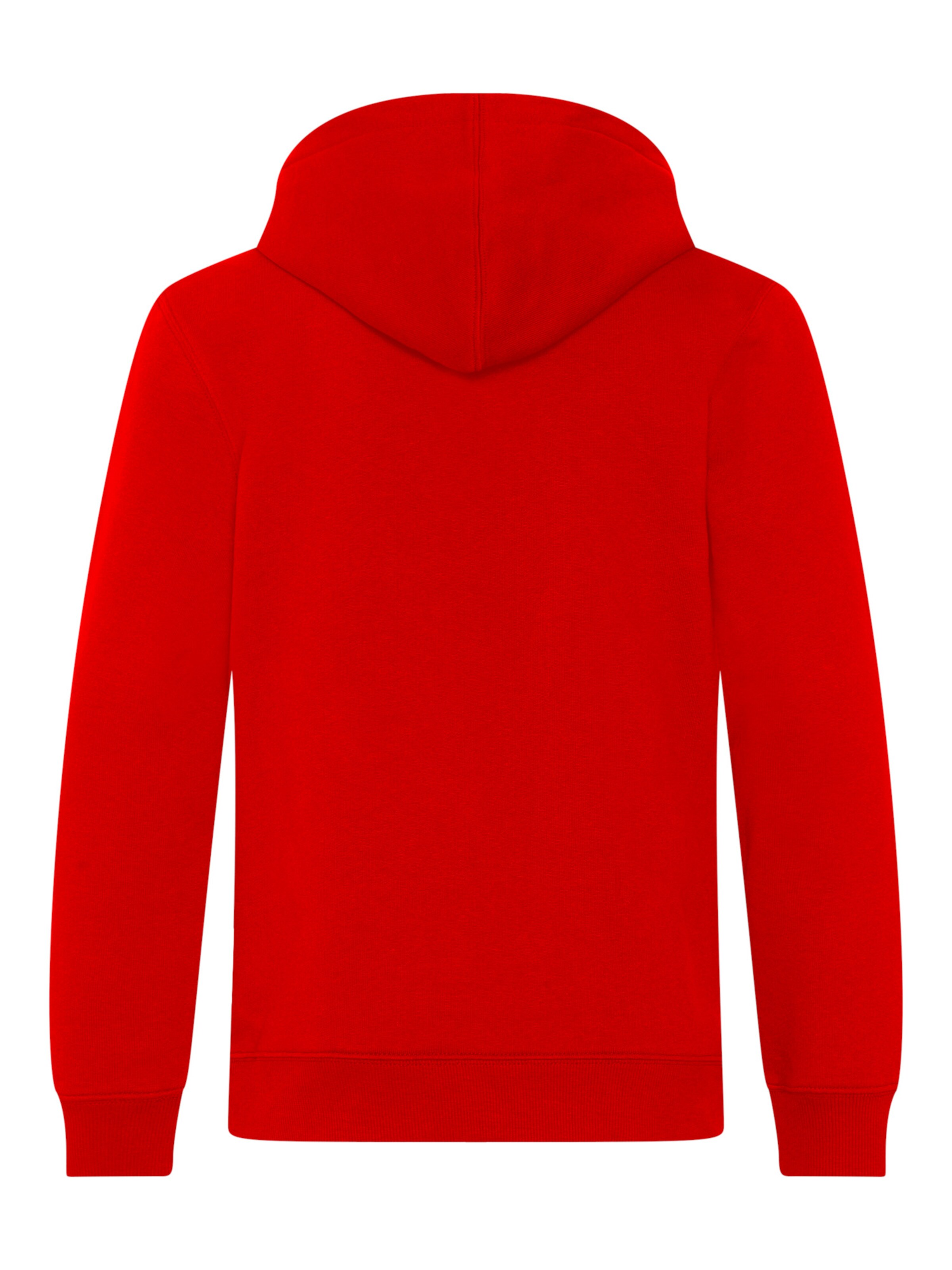 FC BAYERN MÜNCHEN Sweatshirt 'Essential' in Rot
