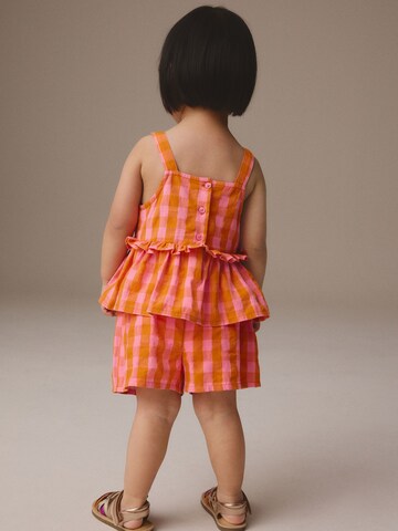 Next Set in Orange