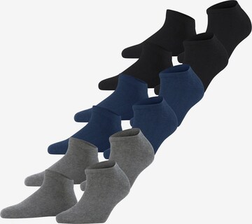 FALKE Ponožky - Modrá: predná strana