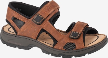 Sandales de randonnée Rieker en marron : devant