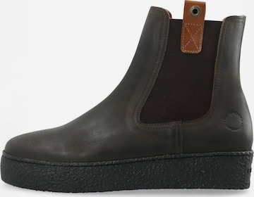 Boots chelsea ' CASCAMILLA ' di Ca'Shott in marrone: frontale