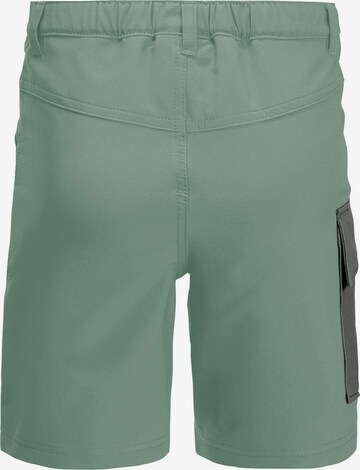 JACK WOLFSKIN Regular Outdoor Pants in Green