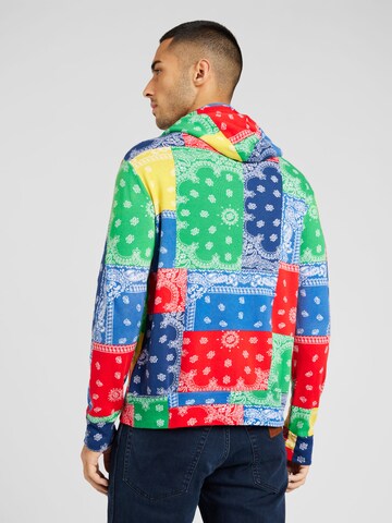 Polo Ralph Lauren Sweatshirt in Mischfarben