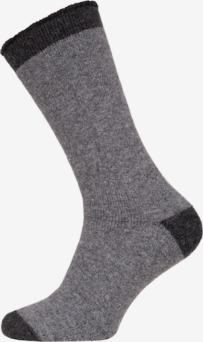 HomeOfSocks Socks 'HOS701' in Grey: front