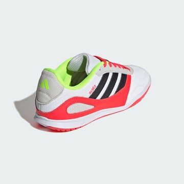 ADIDAS PERFORMANCE Sportschoen 'Super Sala Competition III' in Wit