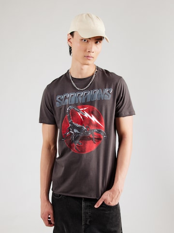 T-Shirt 'SCORPIONS TAIL' AMPLIFIED en gris : devant
