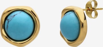 Lucardi Oorbellen in Goud: voorkant