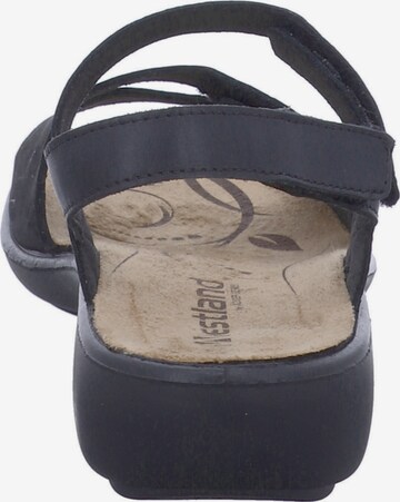 Westland by JOSEF SEIBEL Sandals 'Ibiza 86' in Black