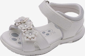 CHICCO Sandalen in Wit: voorkant