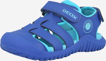 mėlyna GEOX Atviri batai: priekis