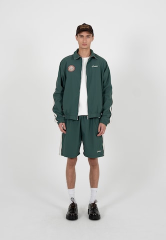 regular Pantaloni di Prohibited in verde: frontale