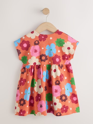 Next Kleid in Orange