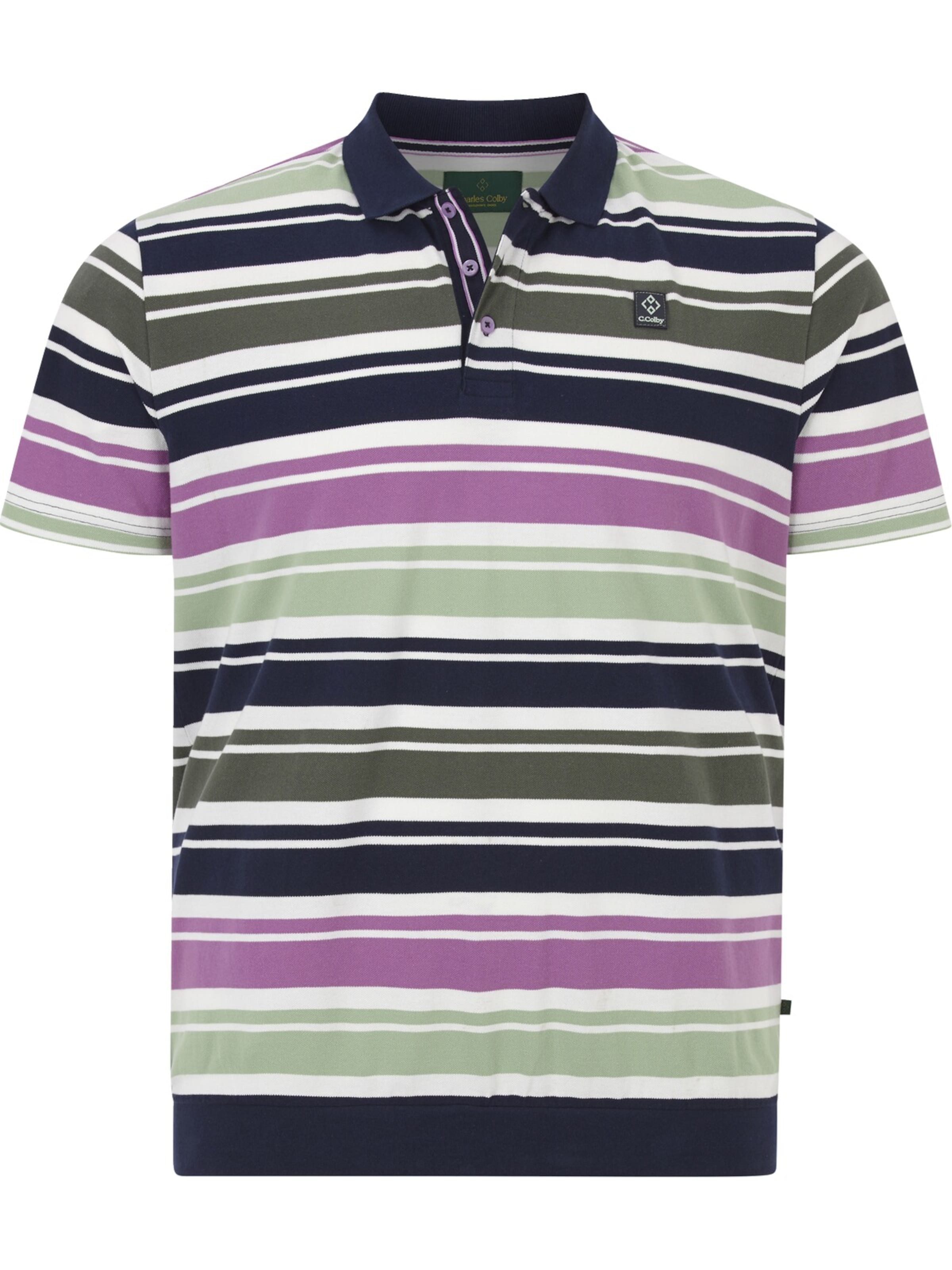 Charles Colby Poloshirt in Mischfarben: Vorderseite