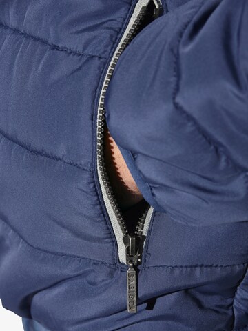 BABISTA Between-Season Jacket in Blue