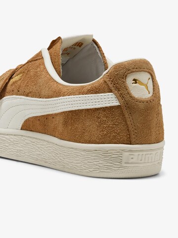 PUMA - Sapatilhas baixas em castanho