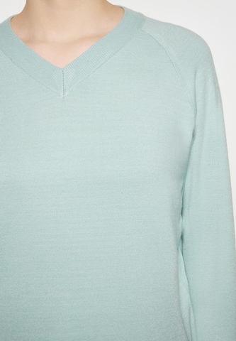 usha BLUE LABEL Sweater in Green