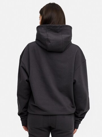 Daily Cotton Sweatshirt 'DCTERUEL' in Grey