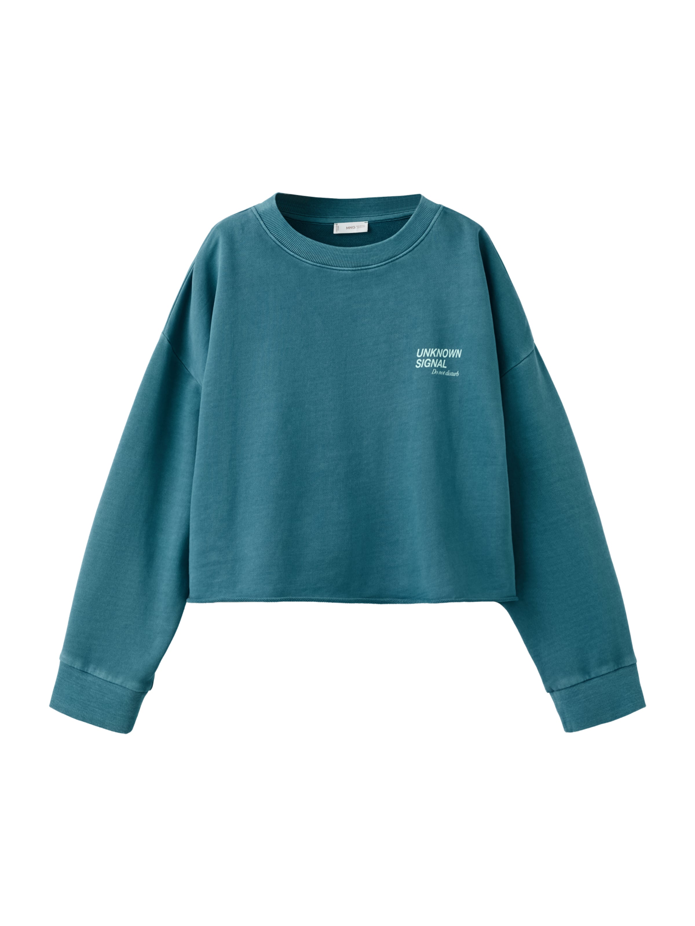 MANGO TEEN Sweatshirt 'Vertical' in Blauw: voorkant