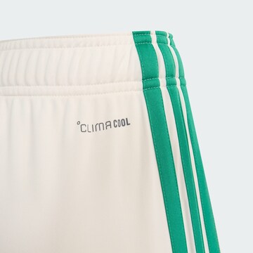 ADIDAS PERFORMANCEregular Sportske hlače 'Algerien 26' - bijela boja