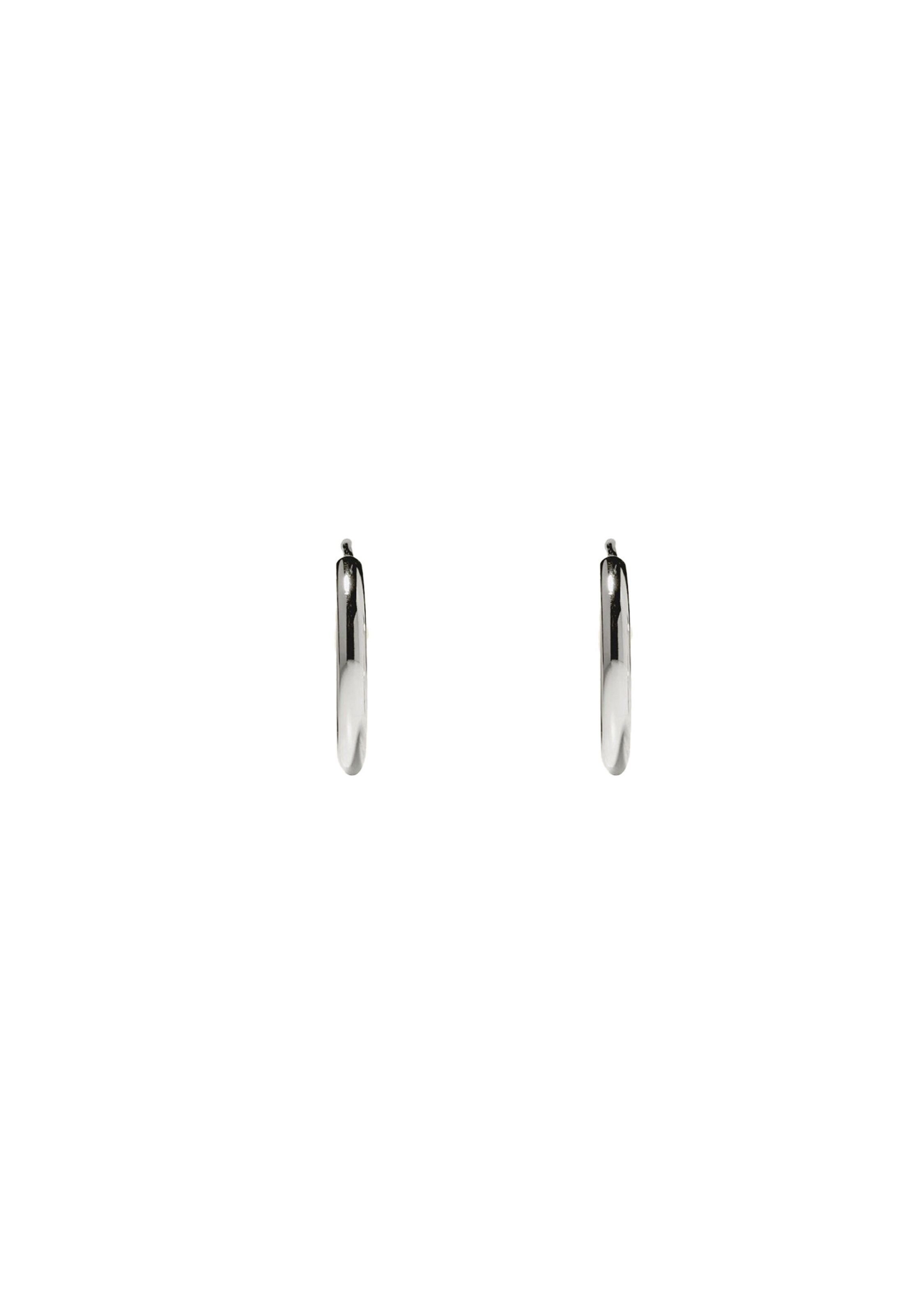 Stilnest Earrings in Silver