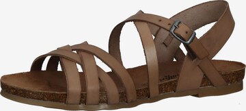 COSMOS COMFORT Strap Sandals in Brown: front