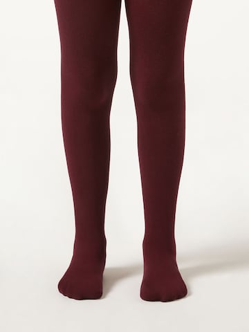 CALZEDONIA Tights in Red: front