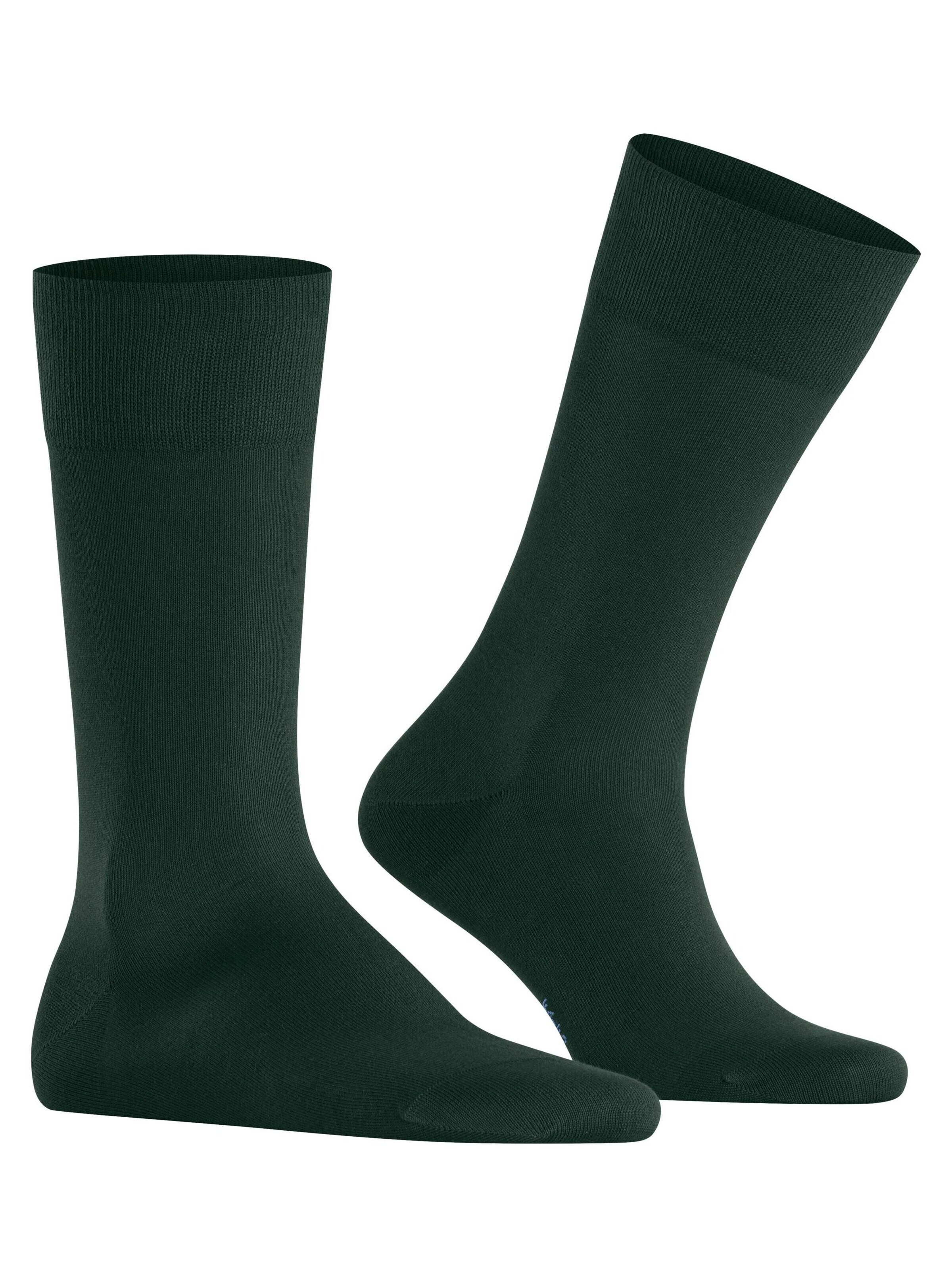 FALKE Socken 'Cool 24/7'‌‌‌‌‌‌‌ in Grün