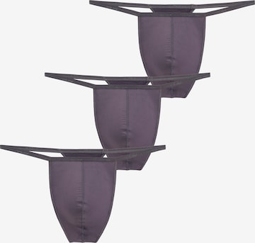 HOM G-String ' Plumes ' in Grau: Vorderseite