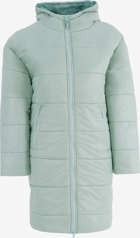 FRESHLIONS Winter Jacket in Green: front