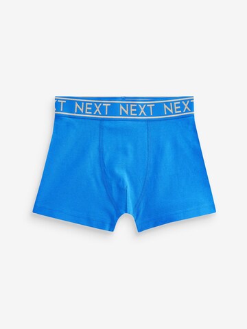 Next - Calzoncillo en azul