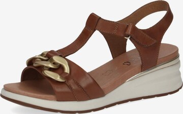 CAPRICE Sandals in Brown: front