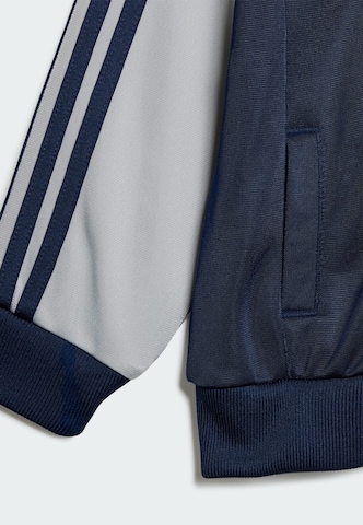 mėlyna ADIDAS ORIGINALS Treningas 'Sst'