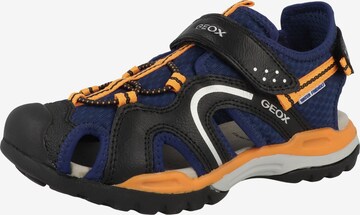 GEOX Open schoenen 'Borealis' in Blauw: voorkant