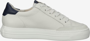 Paul Green Sneakers in Beige