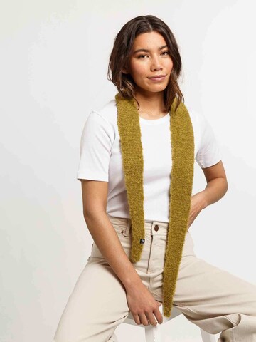FRAAS Scarf in Green: front