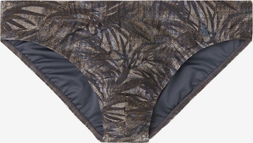 CALZEDONIA Swim Trunks in Bronze: front