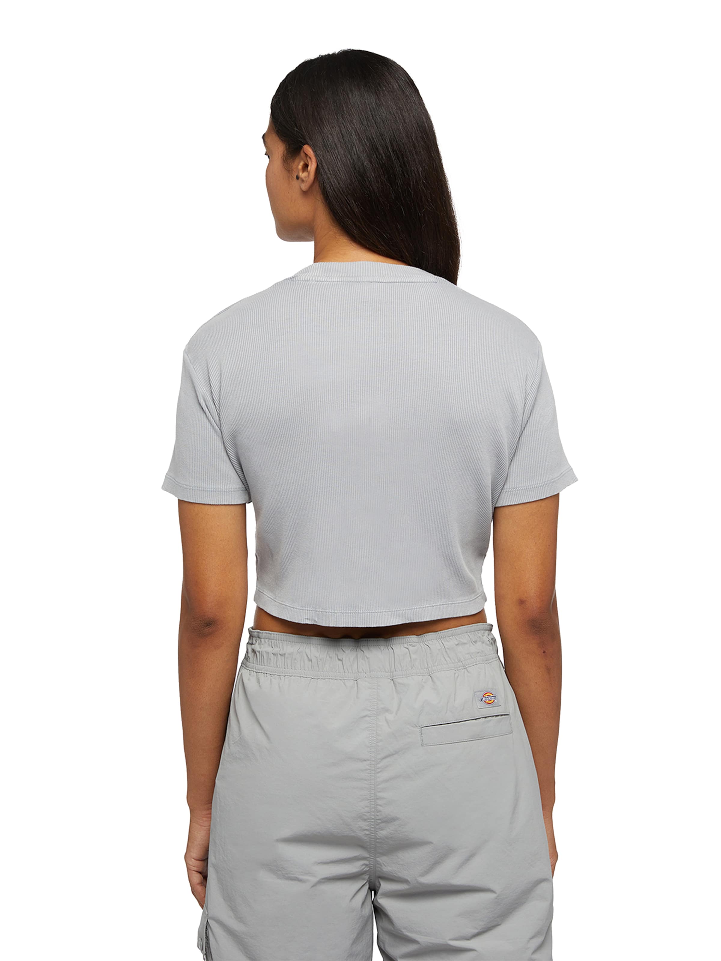 DICKIES Μπλουζάκι 'PLENTYWOOD TEE SS W' σε γκρι