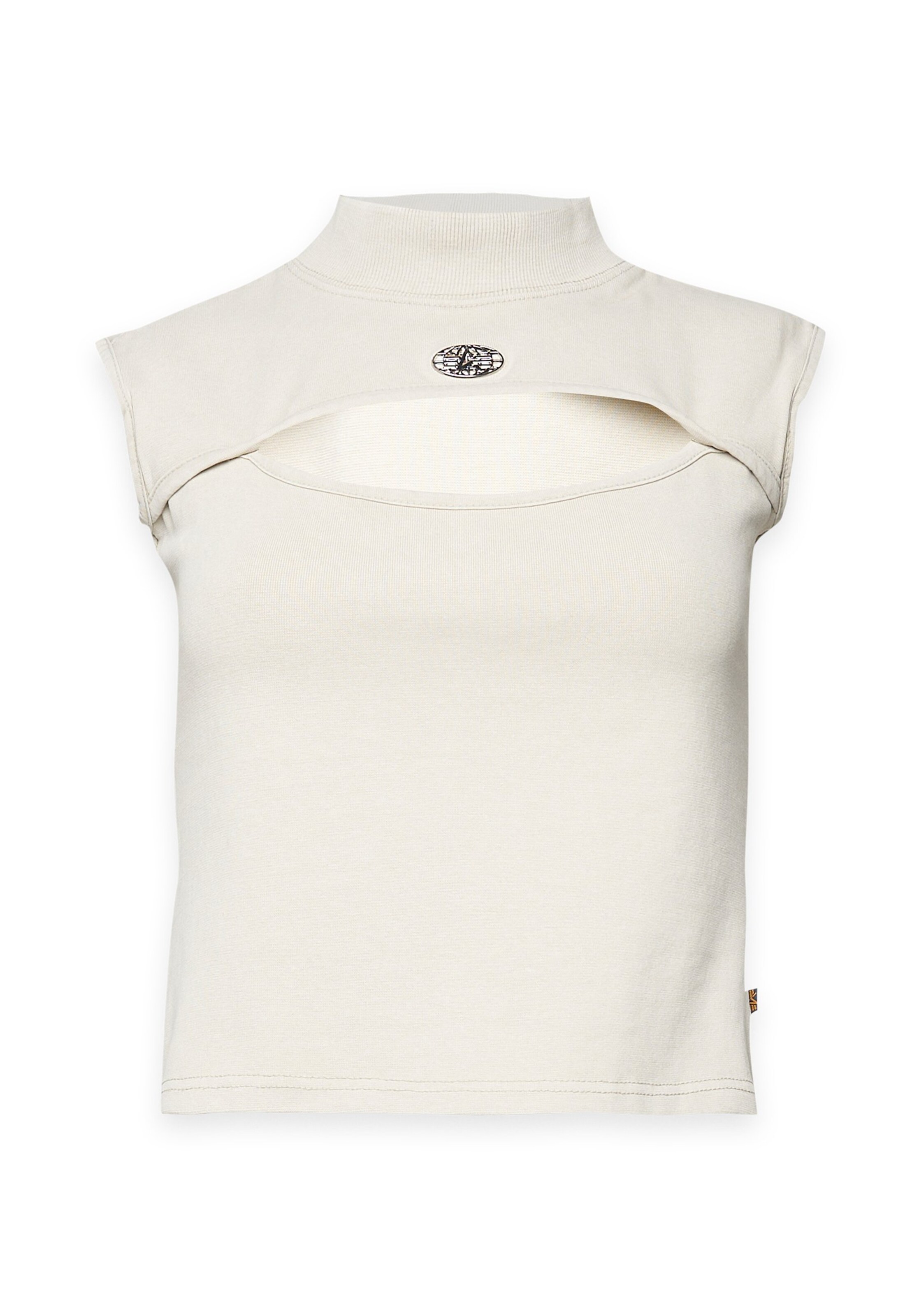 ALPHA INDUSTRIES T-Shirt in Grau: Vorderseite
